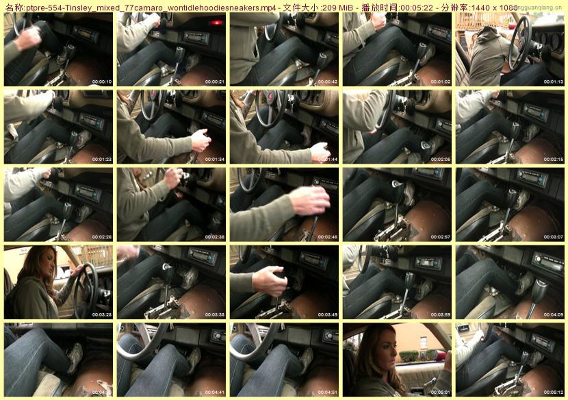 ptpre-554_Tinsley_mixed_77camaro_wontidlehoodiesneakers